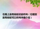 石榴上面有蚂蚁还能吃吗（石榴里面有蚂蚁可以吃吗详细介绍）