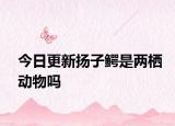 今日更新扬子鳄是两栖动物吗