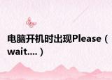 电脑开机时出现Please（wait....）