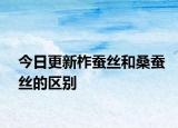 今日更新柞蚕丝和桑蚕丝的区别