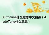 autotune什么意思中文翻译（AutoTune什么意思）