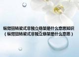 纵臂扭转梁式非独立悬架是什么意思知识（纵臂扭转梁式非独立悬架是什么意思）