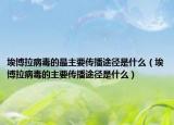 埃博拉病毒的最主要传播途径是什么（埃博拉病毒的主要传播途径是什么）