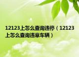 12123上怎么查询违停（12123上怎么查询违章车辆）
