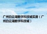 广州白云湖数字科技城买房（广州白云湖数字科技城）