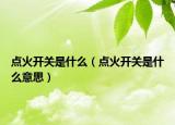 点火开关是什么（点火开关是什么意思）