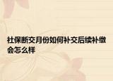 社保断交月份如何补交后续补缴会怎么样