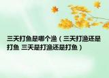 三天打鱼是哪个渔（三天打渔还是打鱼 三天是打渔还是打鱼）