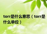 torr是什么意思（torr是什么单位）