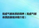 阳虚气郁体质的调养（阳虚气郁体质的表现详细介绍）