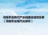河南农业现代产业园建设成效显著（河南农业现代化研究）