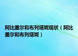 阿比盖尔和布列塔妮现状（阿比盖尔和布列塔妮）