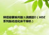 娴佸寲搴婂共鐕ユ満鐧剧（HDZ系列振动流化床干燥机）