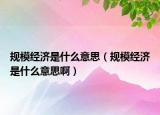 规模经济是什么意思（规模经济是什么意思啊）