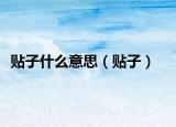 贴子什么意思（贴子）