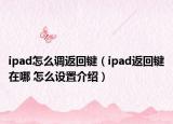 ipad怎么调返回键（ipad返回键在哪 怎么设置介绍）