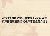 vivo手机相机声音在哪里关（vivos12相机声音在哪里关闭 相机声音怎么关介绍）