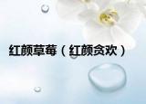 红颜草莓（红颜贪欢）