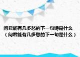 问君能有几多愁的下一句诗是什么（问君能有几多愁的下一句是什么）