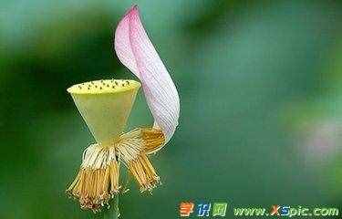残忍的近义词及造句