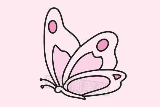 蝴蝶简笔画图片大全作品二