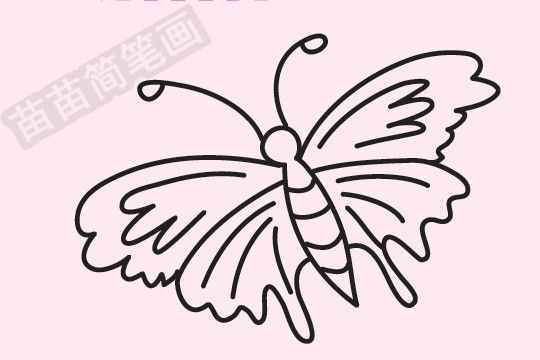 蝴蝶简笔画图片大全作品四