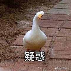 如何为音频添加背景音乐？学会这招，轻松添加背景音