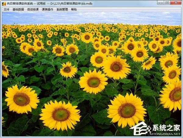 排课软件哪些好用?