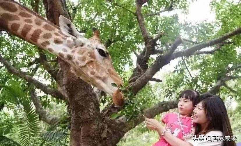 五一假期去哪里玩？深圳这些景点值得一去