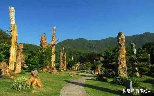五一假期去哪里玩？深圳这些景点值得一去