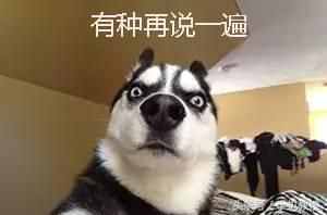 别复制粘贴了，把通讯录移到新手机最简单的方法在这！