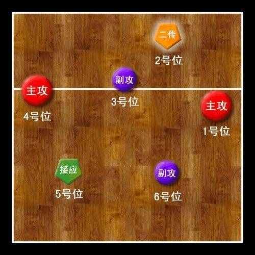 排球队员如何站位