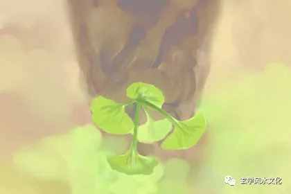 怎样看房子风水的朝向