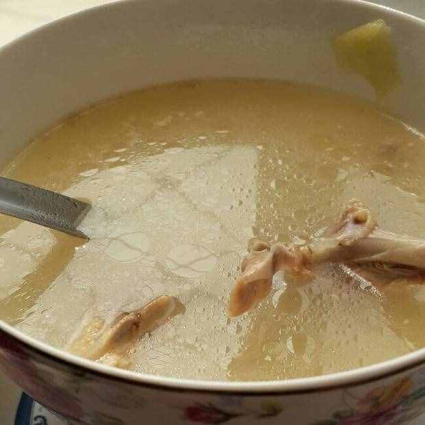月子汤  鸽子汤