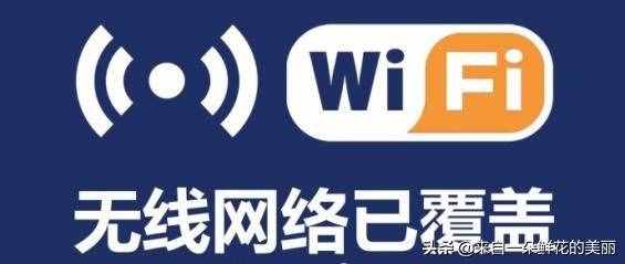 手机连不上网？四种方法教你如何解决，建议收藏以备不时之需