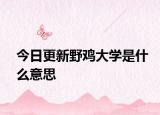 今日更新野鸡大学是什么意思