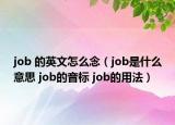 job 的英文怎么念（job是什么意思 job的音标 job的用法）