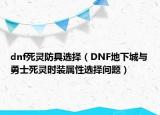 dnf死灵防具选择（DNF地下城与勇士死灵时装属性选择问题）