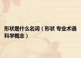 形状是什么名词（形状 专业术语科学概念）