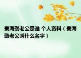 秦海璐老公是谁 个人资料（秦海璐老公叫什么名字）