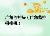 广角监控头（广角监控摄像机）