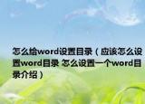 怎么给word设置目录（应该怎么设置word目录 怎么设置一个word目录介绍）