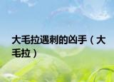 大毛拉遇刺的凶手（大毛拉）