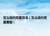 怎么给约克夏剪毛（怎么给约克夏美容）