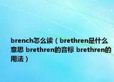 brench怎么读（brethren是什么意思 brethren的音标 brethren的用法）