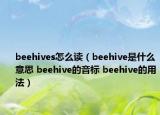 beehives怎么读（beehive是什么意思 beehive的音标 beehive的用法）