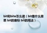 bit和bite怎么读（bit是什么意思 bit的音标 bit的用法）