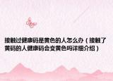 接触过健康码是黄色的人怎么办（接触了黄码的人健康码会变黄色吗详细介绍）