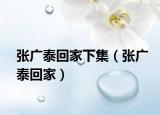 张广泰回家下集（张广泰回家）