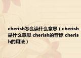 cherish怎么读什么意思（cherish是什么意思 cherish的音标 cherish的用法）